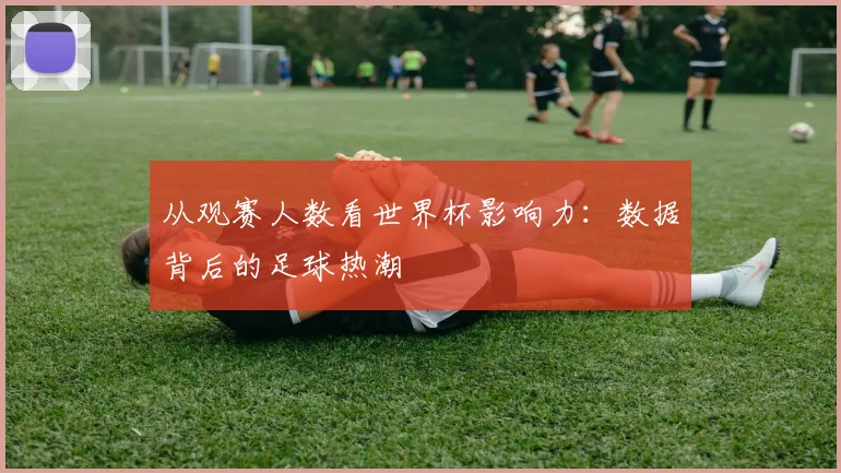从观赛人数看世界杯影响力:数据背后的足球热潮