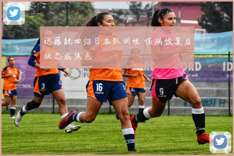 远藤航回归日本队训练 伤病恢复后状态成焦点