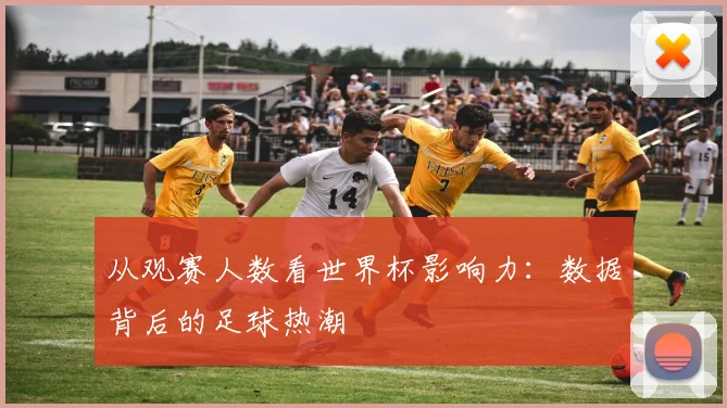 从观赛人数看世界杯影响力：数据背后的足球热潮